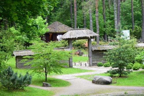 Erikinių augalų kolekcija japoniškame sode