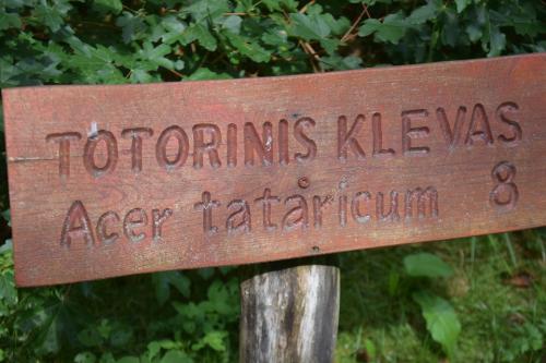 Miško turtų mokomasis takas