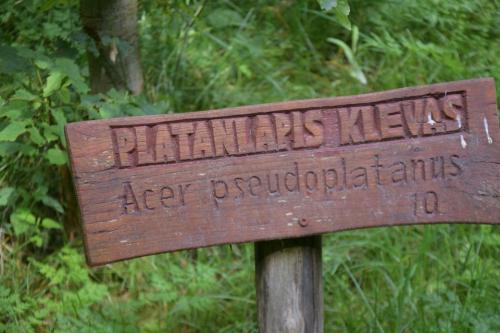 Miško turtų mokomasis takas