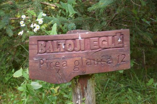 Miško turtų mokomasis takas