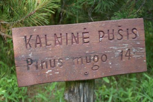 Miško turtų mokomasis takas