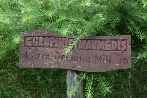 Miško turtų mokomasis takas