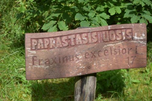 Miško turtų mokomasis takas