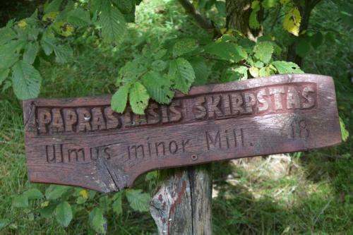Miško turtų mokomasis takas