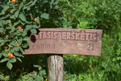 Miško turtų mokomasis takas
