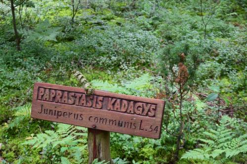 Miško turtų mokomasis takas