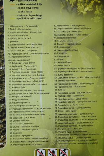 Miško turtų mokomasis takas