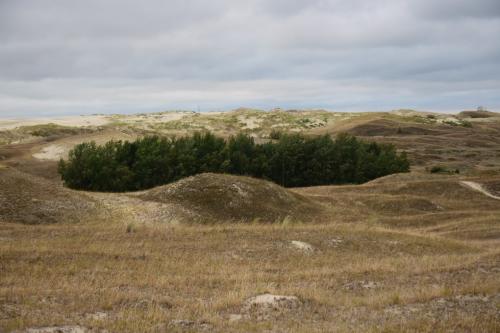 Parnidžio kopa