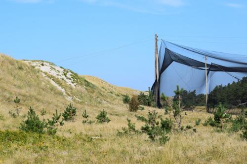 Kuršių Nerijos paukščių žiedavimo stotelė, Pervalka