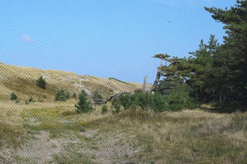 Kuršių Nerijos paukščių žiedavimo stotelė, Pervalka