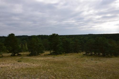 Avino kalnas