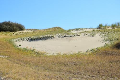 Naglių rezervatas