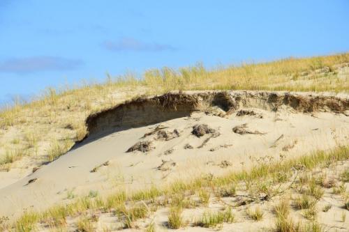 Naglių rezervatas