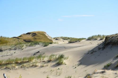 Naglių rezervatas