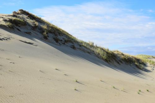 Naglių rezervatas