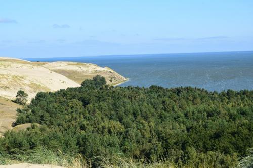 Naglių rezervatas